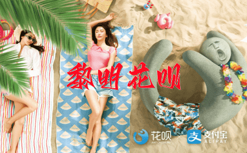 风华绝世花呗